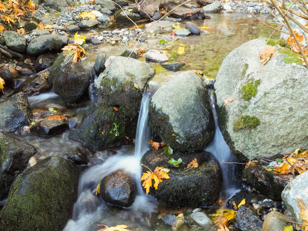 A healthy stream is an alternating sequence of pools and riffles.