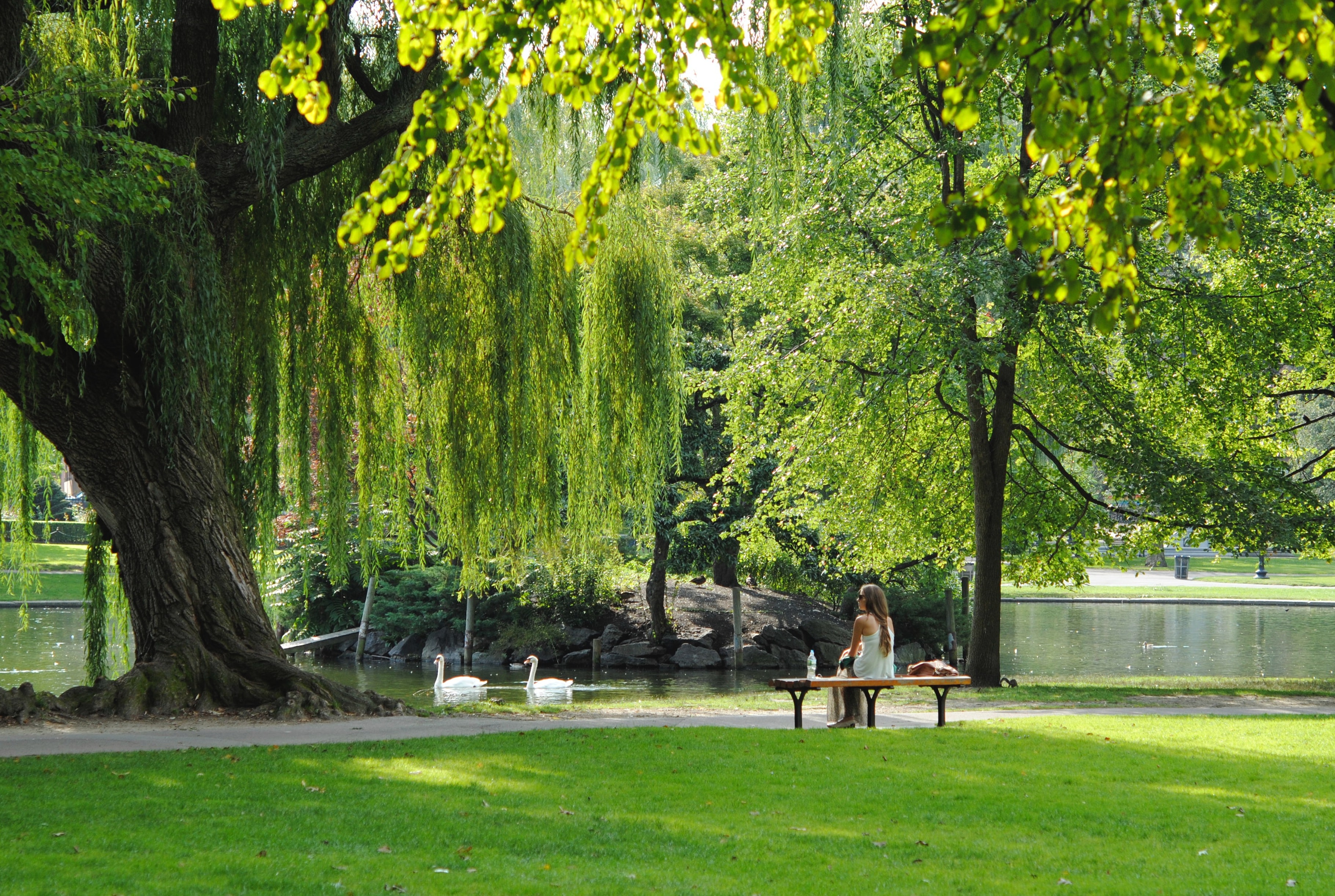park with person sitting on a bench