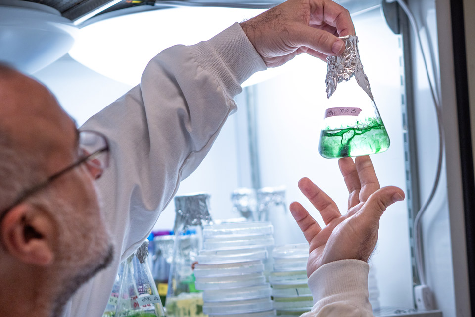 A man holds an Erlenmeyer flask of green liquid