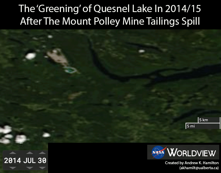 The greening of Quesnel Lake