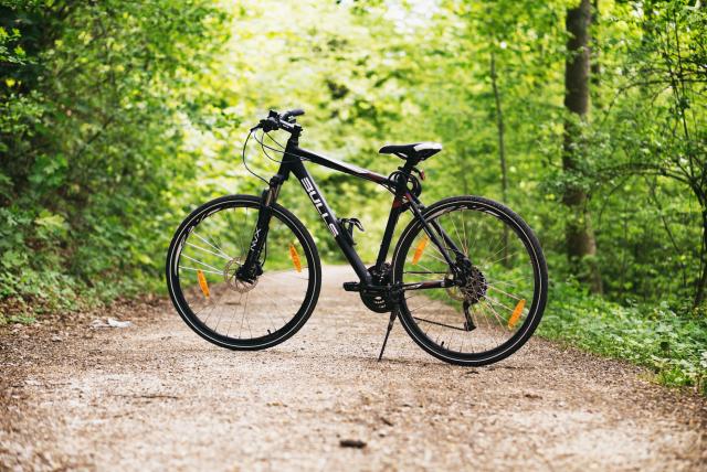 black e-bike in forest