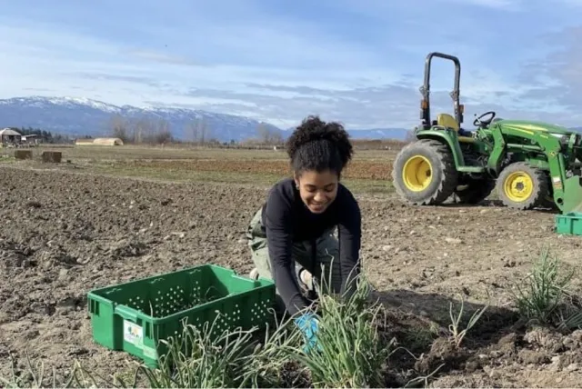 A woman plants a shrub.