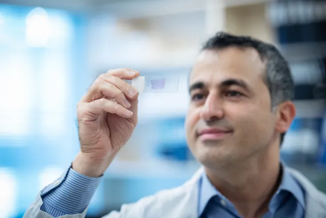 main-image-dr.-ali-bashashati-observes-an-endometrial-cancer-sample-on-a-microscope-slide_20240628140319.jpg