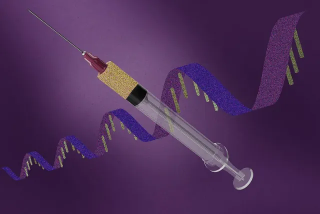 amplify-vax1b.jpg