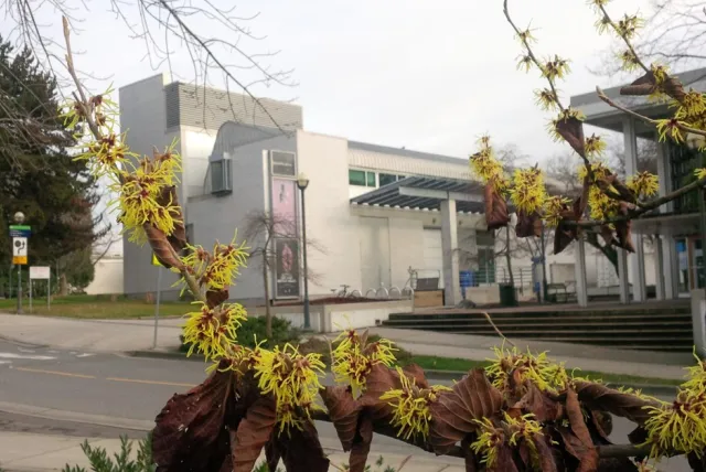 ubc-qmi-resized.jpeg