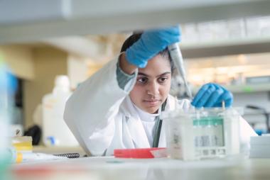 A researcher fills test tubes.