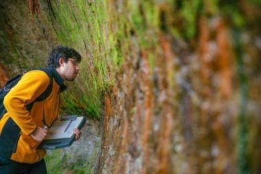 Researcher looking at wall in nature