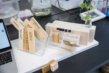 Image of wood samples