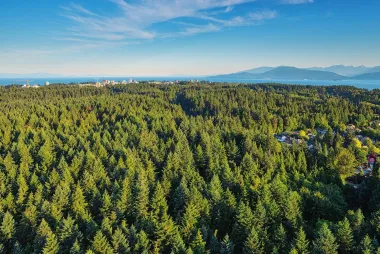 Aerial view of a forest at UBC