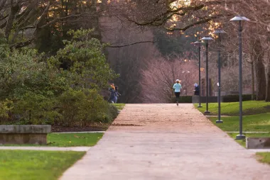 A pathway surrounded by trees on the UBC campus