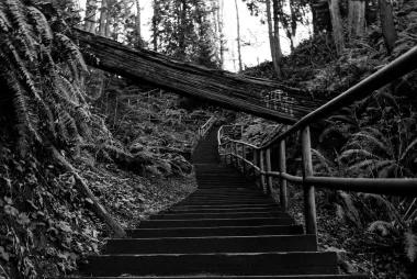 Picture of Stairs at UBC campus.
