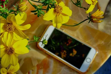 picture of a phone against yellow flowers and background.