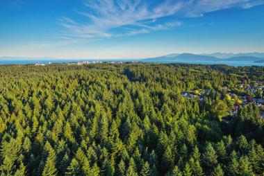 Pacific Spirit park from above; a sea of pine trees