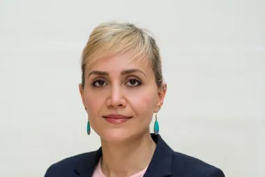 Farinaz Havaei