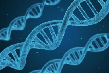 DNA