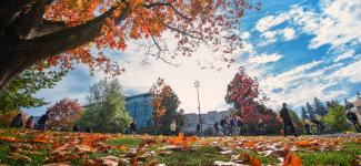 fall scene at UBC Point Grey campus