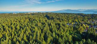 Aerial view of Pacific Spirit Park, UBCV