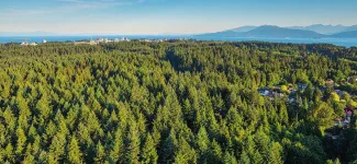 Aerial view of a forest at UBC