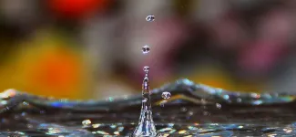 Image of water droplets.