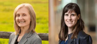 APSC Associate Deans headshots
