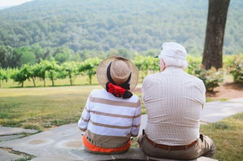 Elderly couple sitting at vineyards