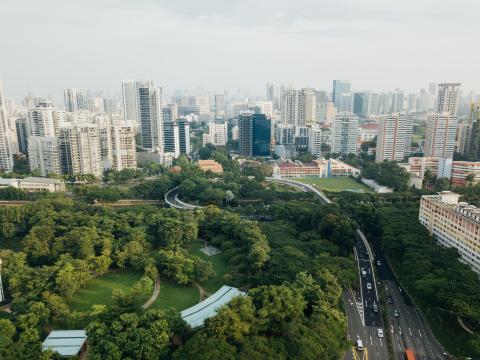 ariel view of city with trees