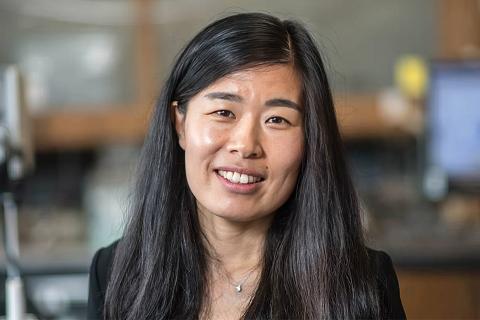 Headshot of Dr. Wenying Liu