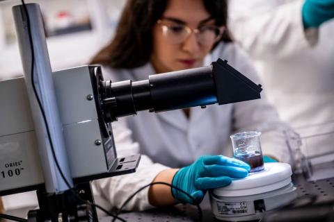 A researcher analyzes a chemical mixture.