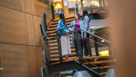 Students in a discussion while standing on stairs in the UBC Forestry building.