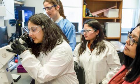 Four women in a lab, with one looking into a microscope and the other three observing her