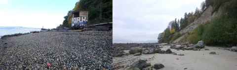 site images