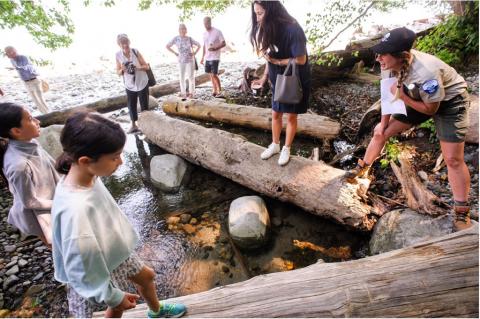 People standing on sills by the stream