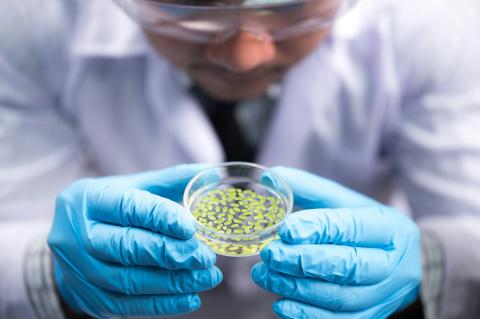 Scientist in a lab holding a petri dish