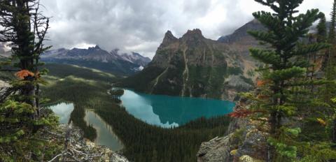 View from a hike. 