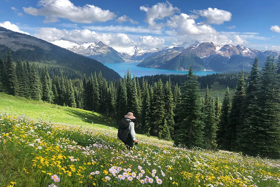 Conducting field research in Garibaldi Provincial Park.