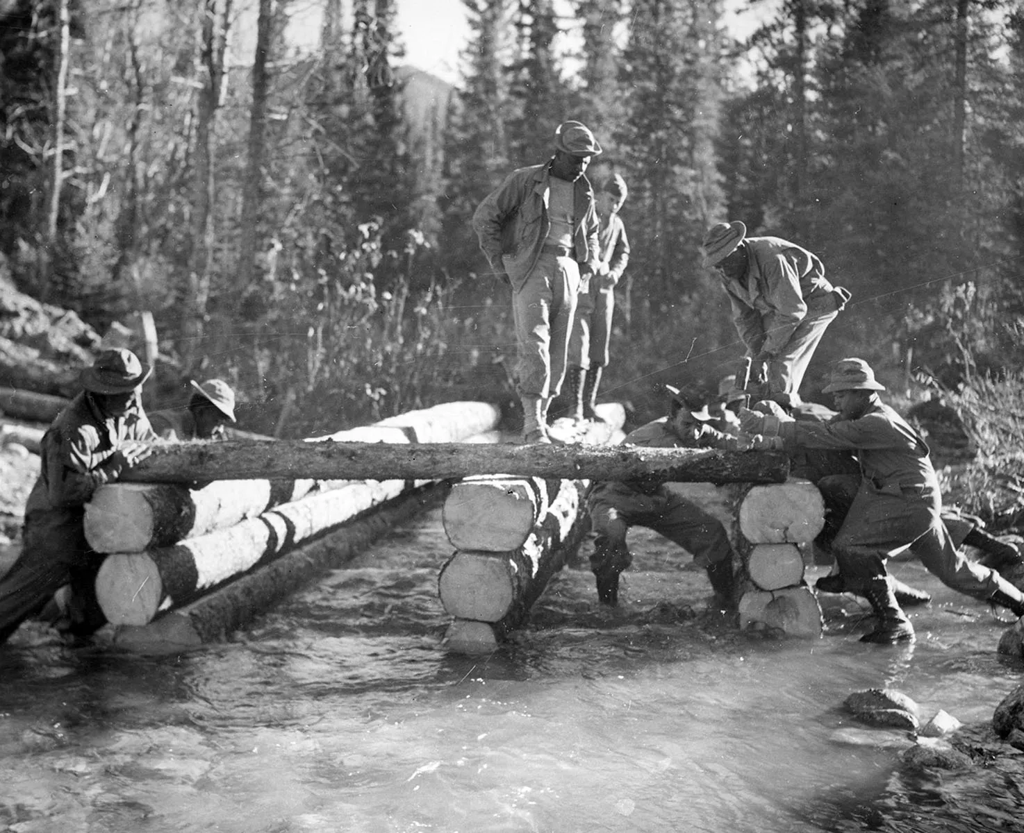 logging