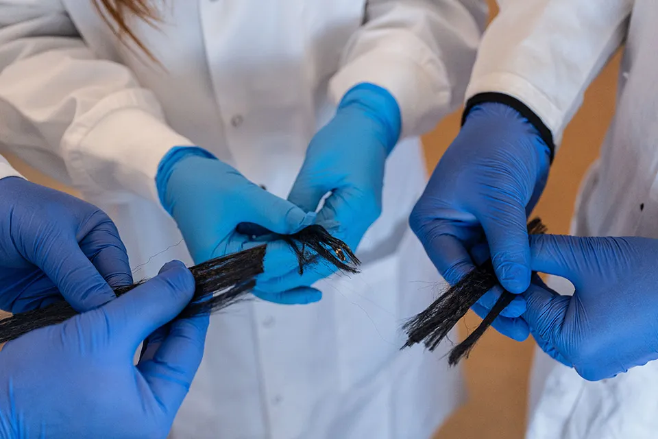 Close up of carbon fibre threads from Dr. Yasmine Abdin's lab