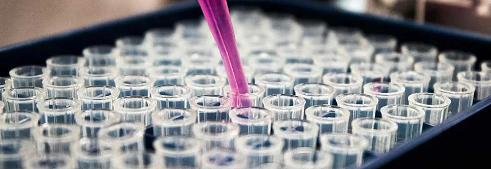 Close-up photo of a micropipette with a pink clear liquid being transferred into one of many small clear test tubes in a rack.